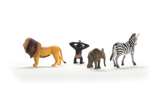 Wild Life Africa Starter Set