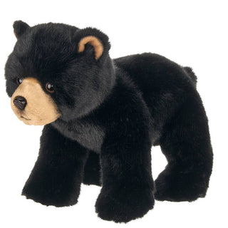 Asher the Black Bear