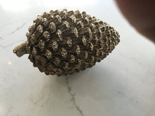 Gold Pinecone