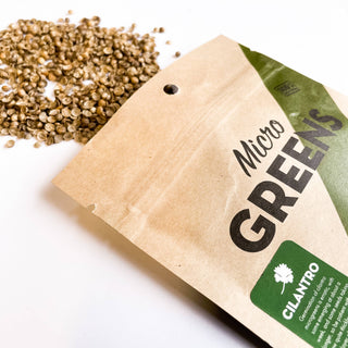 Non-GMO Microgreens Seeds: Arugula