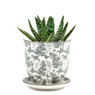 Liberte 3" Indoor Plant Pots