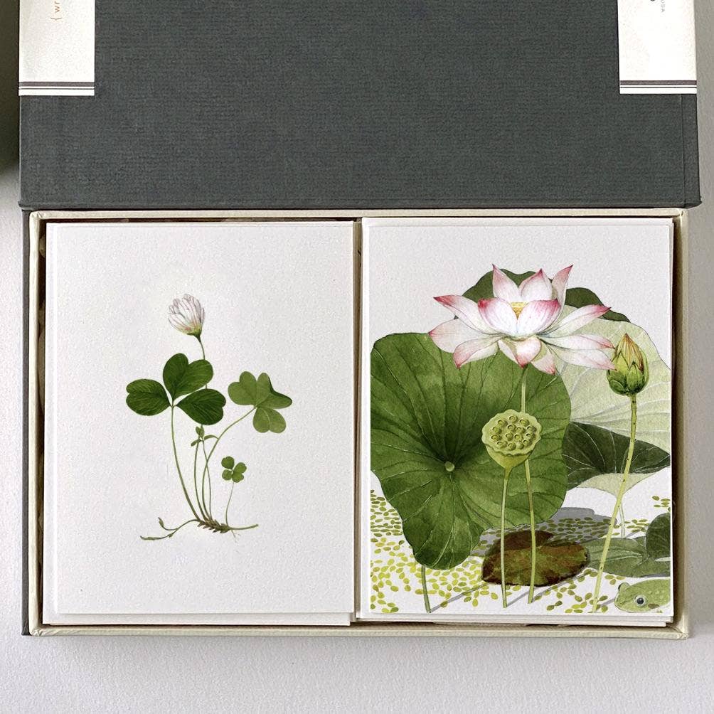 Lotus and Clover - Desk Box - Couplet