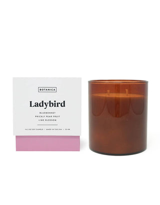 Ladybird Large Cande | 14.5 oz