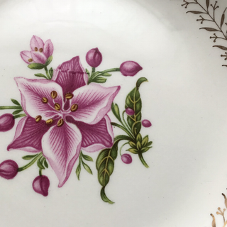 Vintage Fine China with Purple Triflower, 6.5”